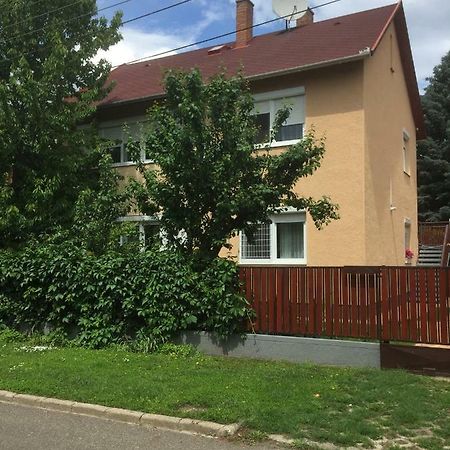 Big Apartman Hajdúszoboszló Εξωτερικό φωτογραφία